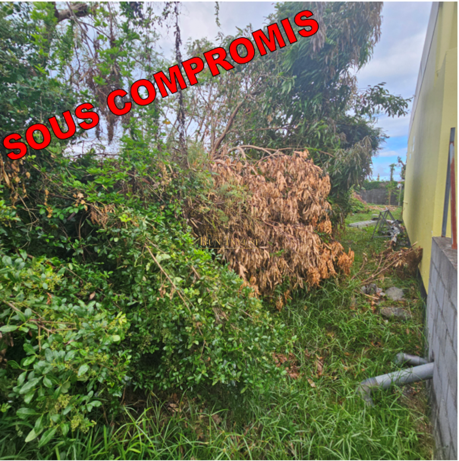 Image_2, Terrain, Saint-André, ref :4317