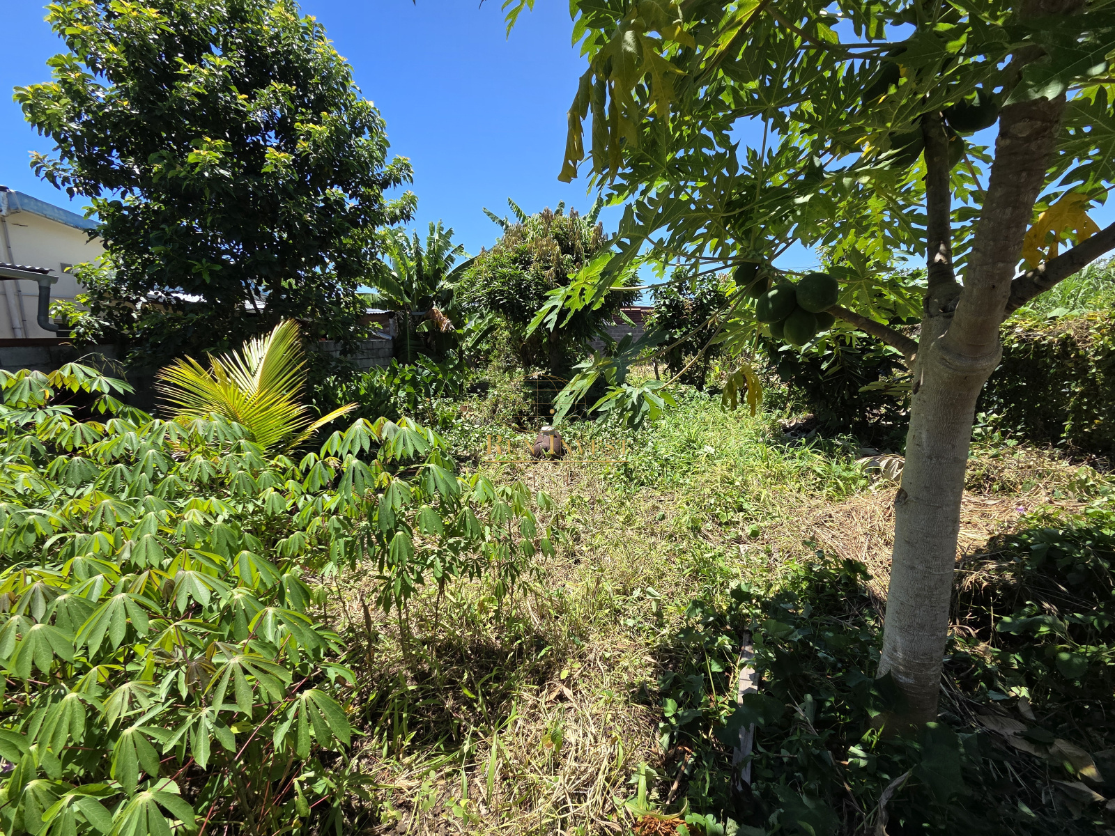 Image_5, Terrain, Saint-André, ref :4384