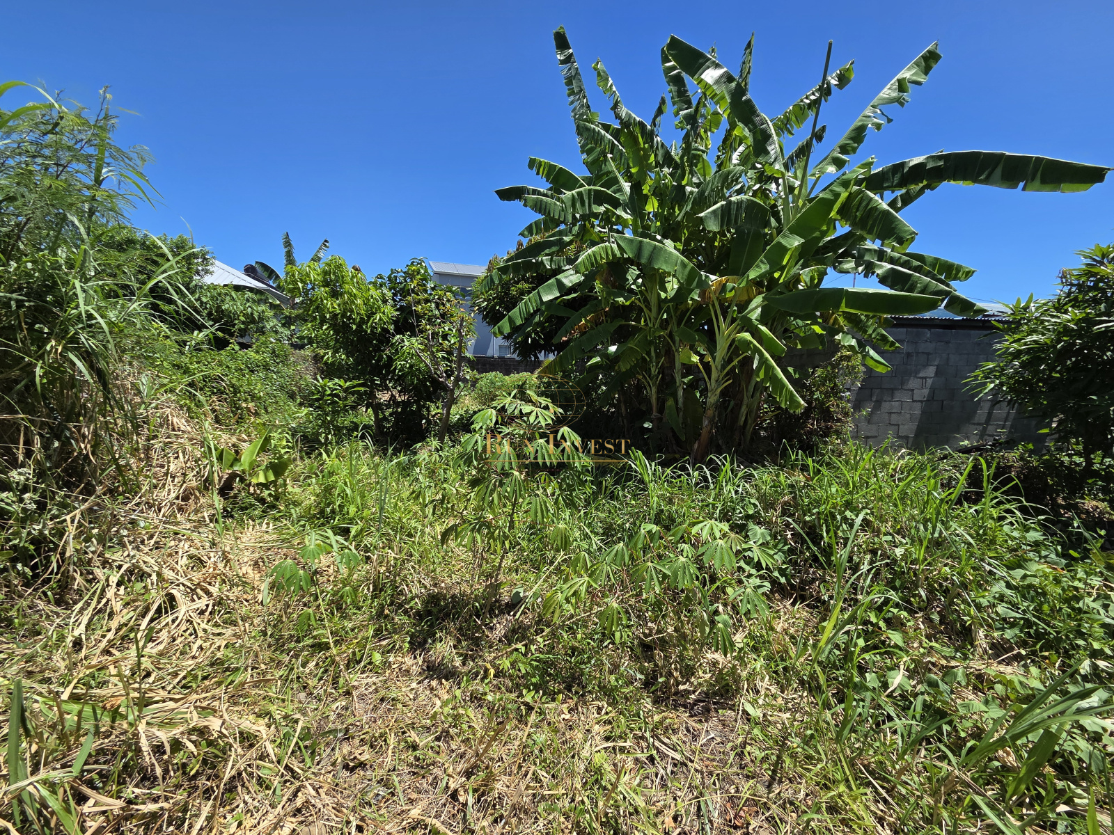 Image_2, Terrain, Saint-André, ref :4384