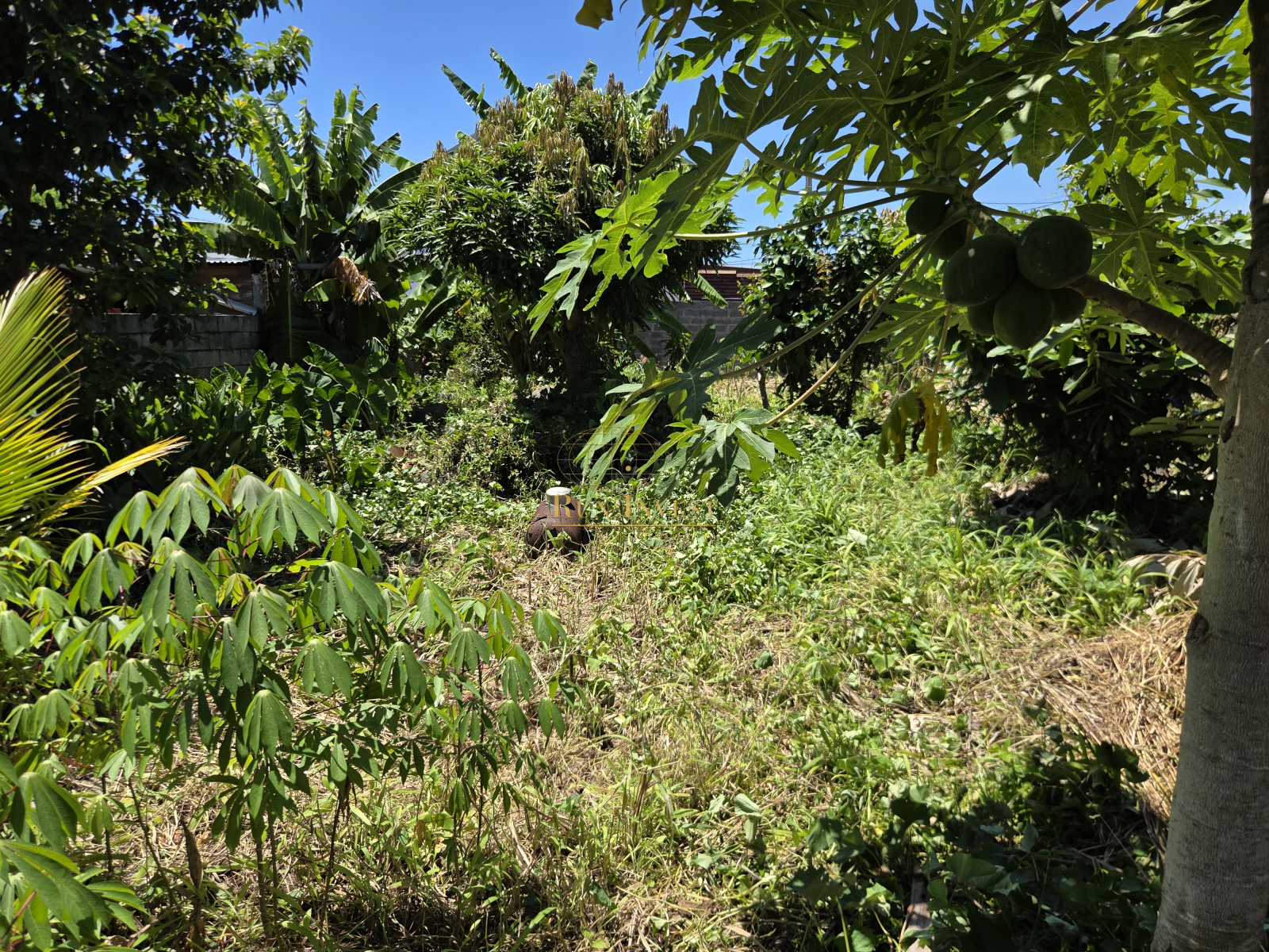 Image_3, Terrain, Saint-André, ref :4384