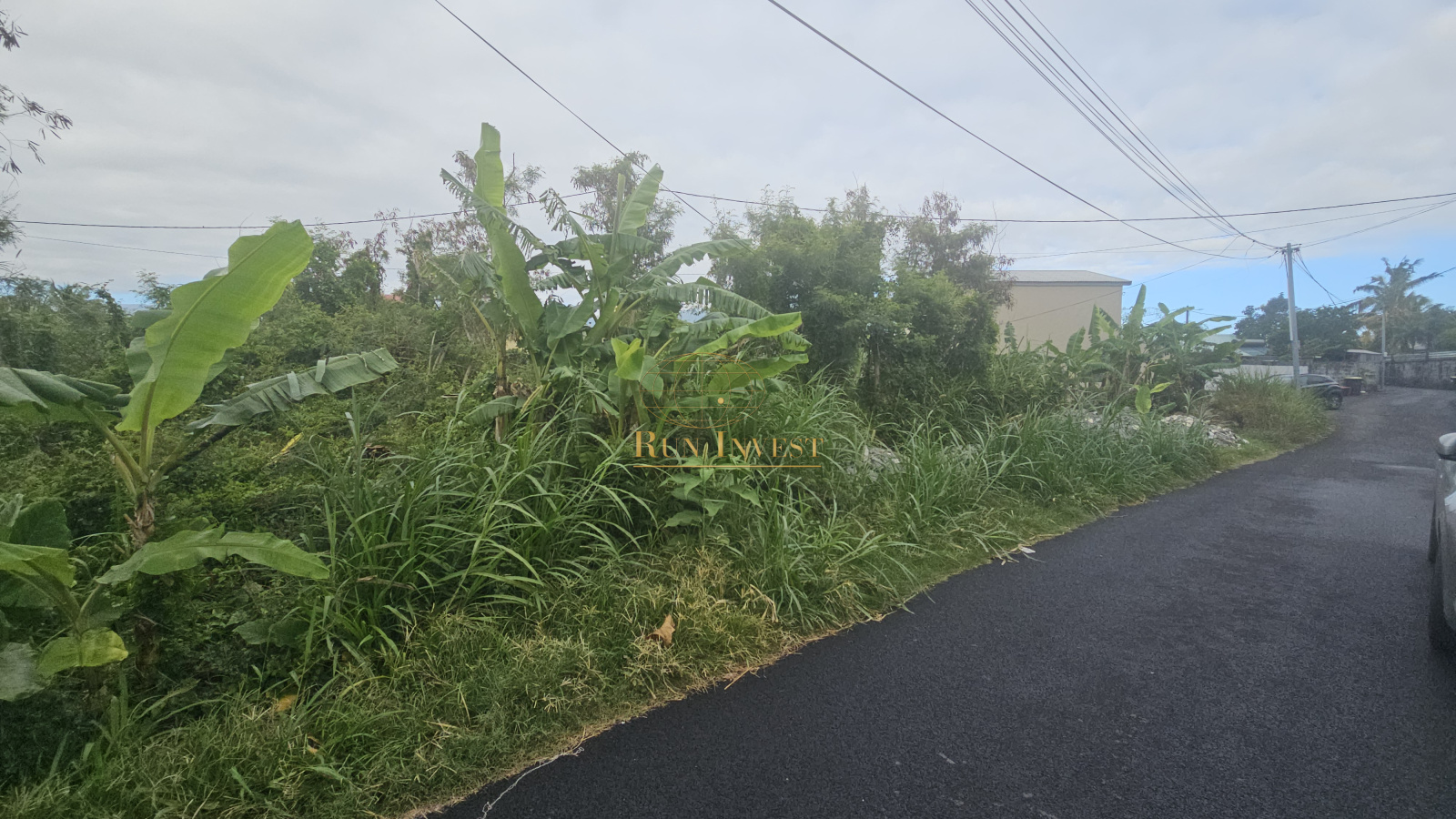 Image_1, Terrain, Saint-André, ref :4354