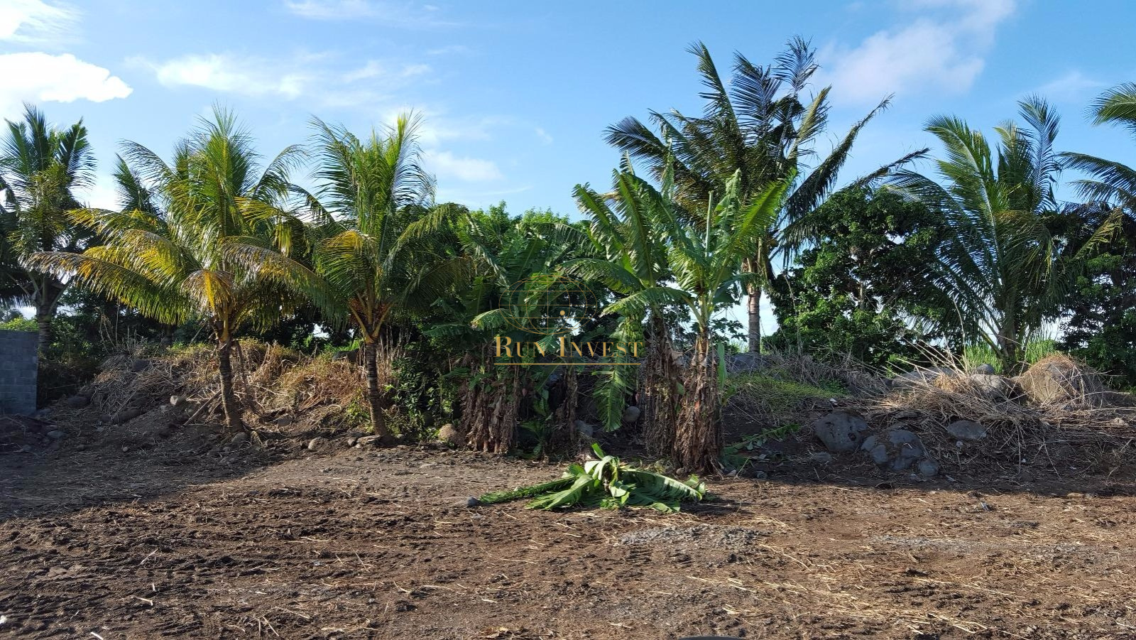 Image_3, Terrain, Saint-André, ref :4395