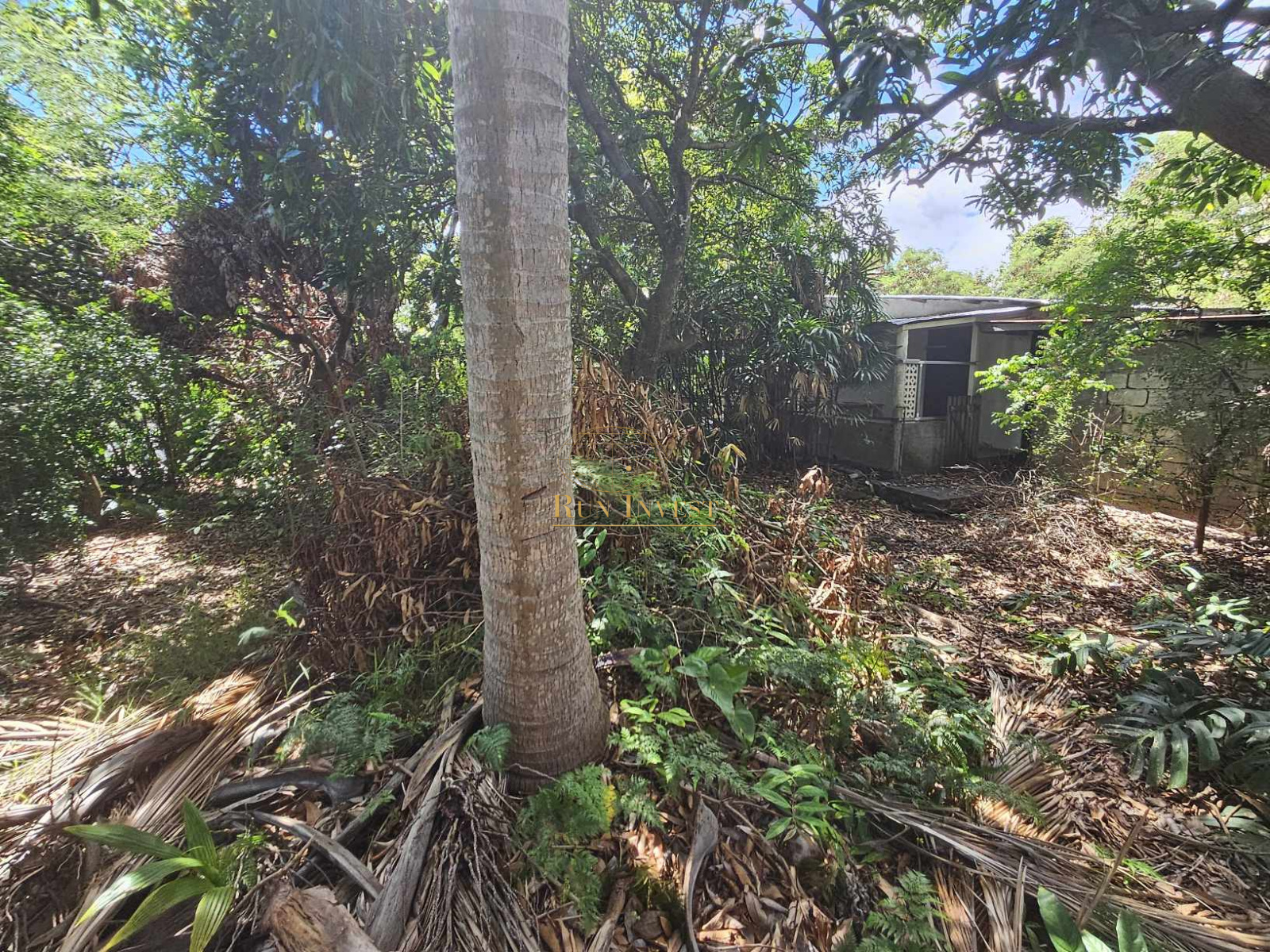 Image_3, Maison, Sainte-Marie, ref :4293