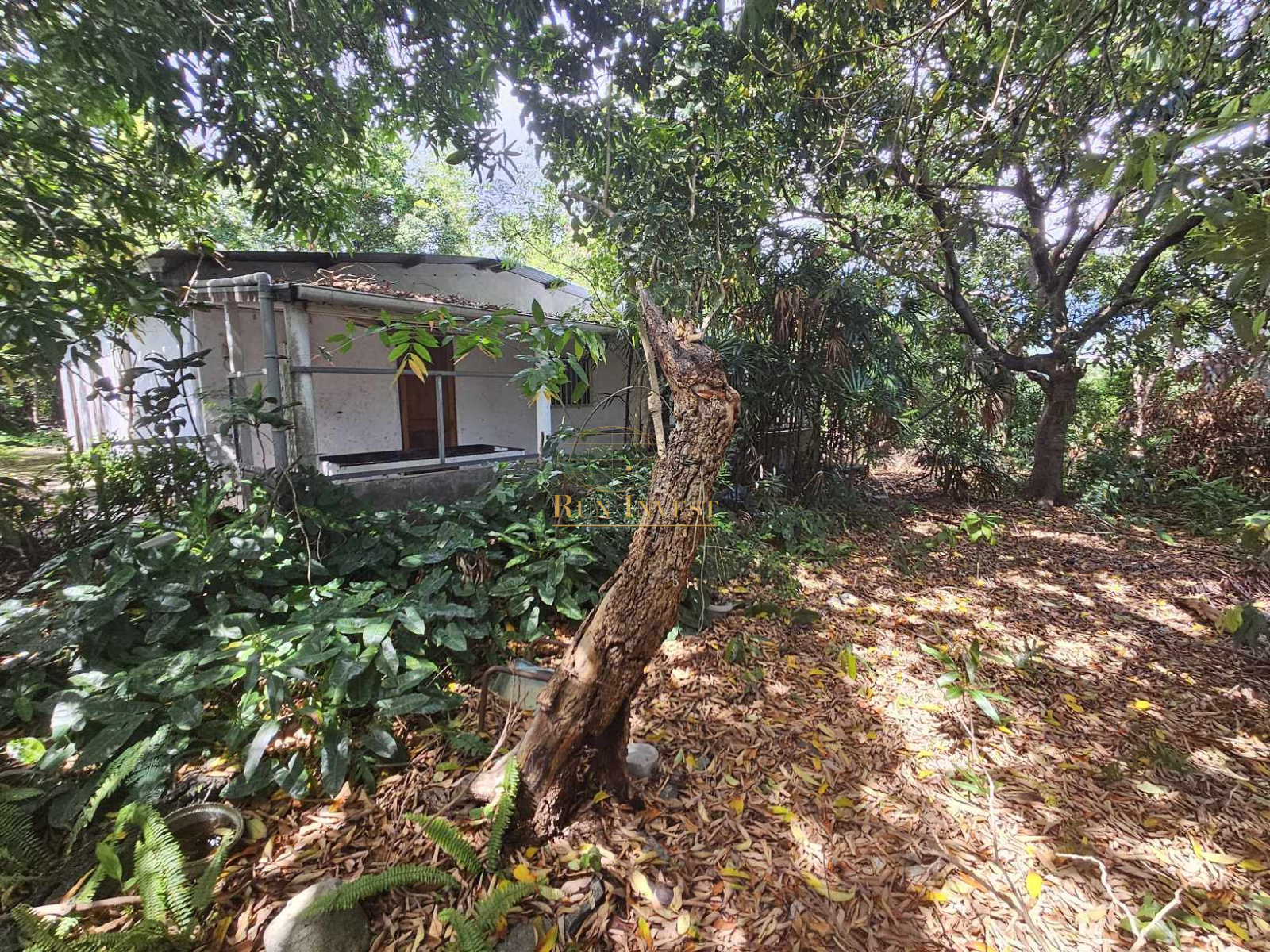 Image_1, Maison, Sainte-Marie, ref :4293