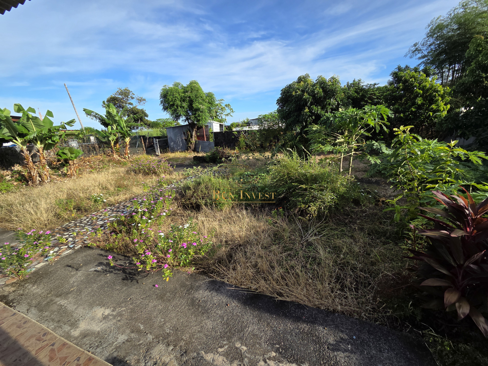 Image_1, Terrain, Saint-André, ref :4391