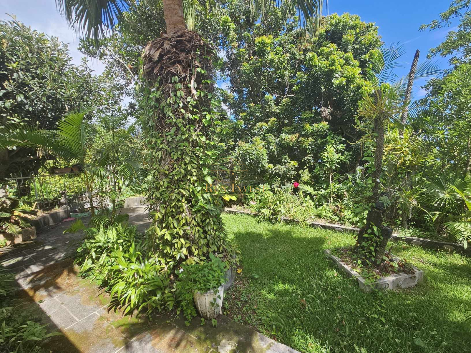 Image_6, Maison, Sainte-Marie, ref :4308