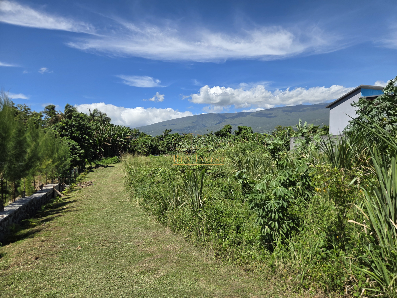 Image_3, Terrain, Sainte-Anne, ref :4398